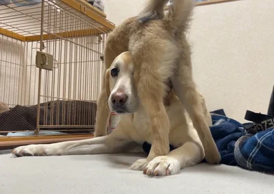 そっと覆いかぶさるも……（⇒次へ）