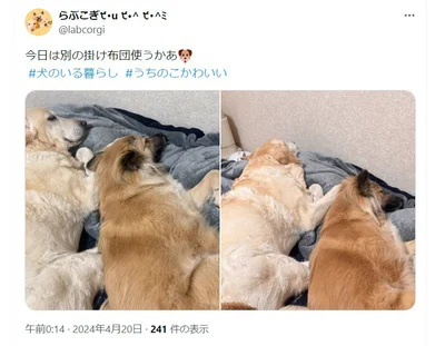 ときには、仲良くお昼寝タイムとなることも！（⇒次へ）