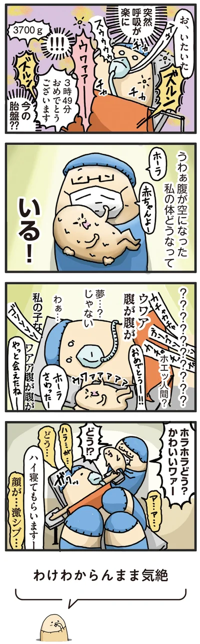 『ヤケッパチパチ！ 元ヒステリック妊婦の育児ログ！』より