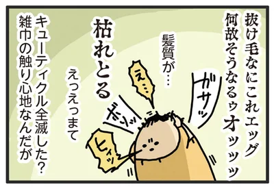 キューティクル全滅した？