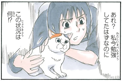 この状況は何！？