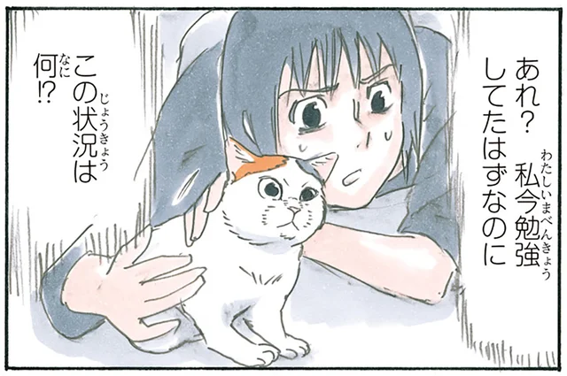 「今勉強していたはずなのに！」猫と遊びながら我に帰る瞬間／拾い猫のモチャ4（3）