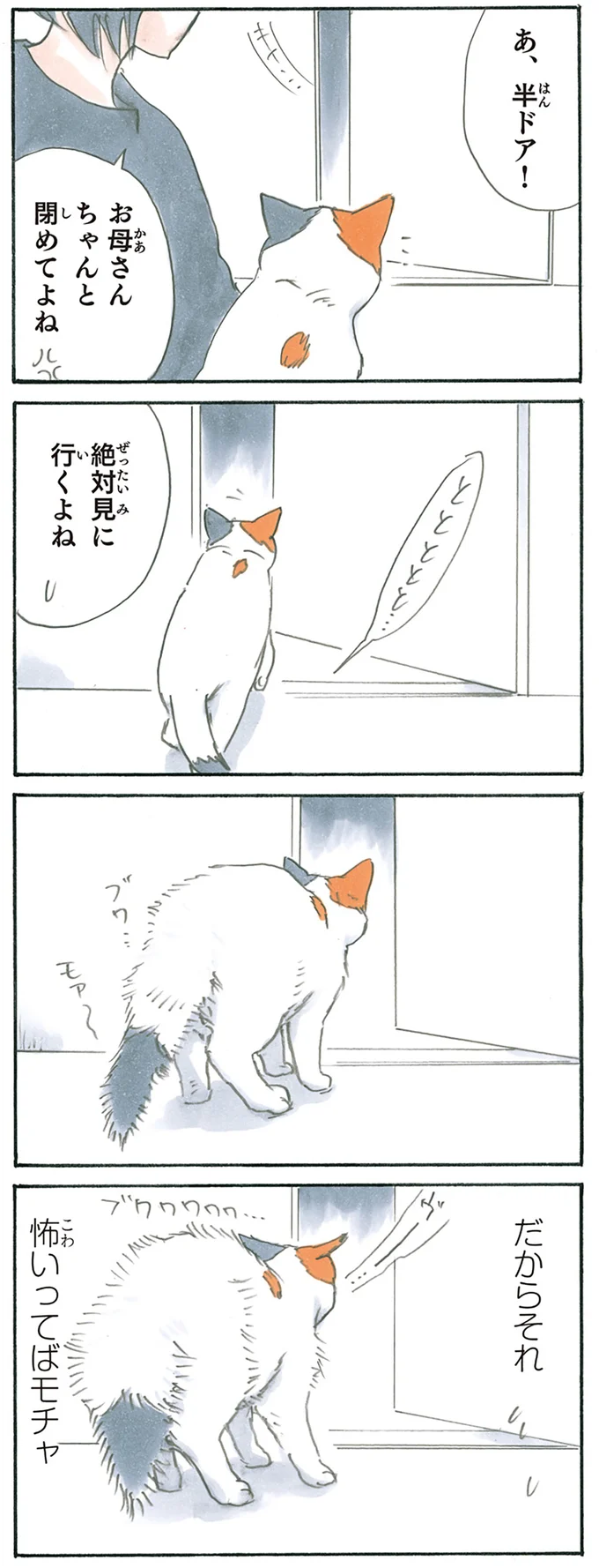 半ドアの向こう側