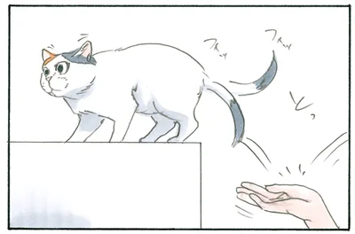 移動をサポート
