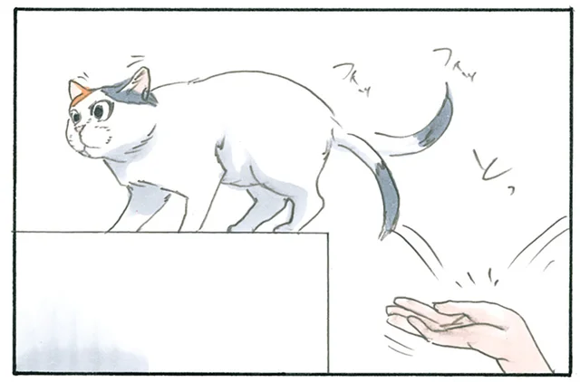 飼い猫の移動をサポート！ 一日使って戯れただけの休日もまた良し／拾い猫のモチャ4（5）