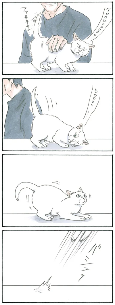 猫かぶってる