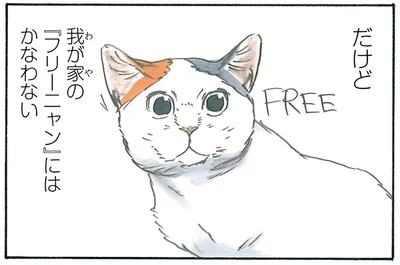 我が家の「フリーニャン」