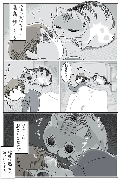 『夜は猫といっしょ5』より