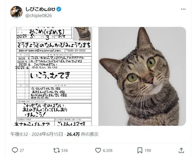 「かべのぼりけんてい1級」に「破壊けんてい1級」とは！恐れ入りました！▶次は必殺壁張り付き！（⇒次へ）