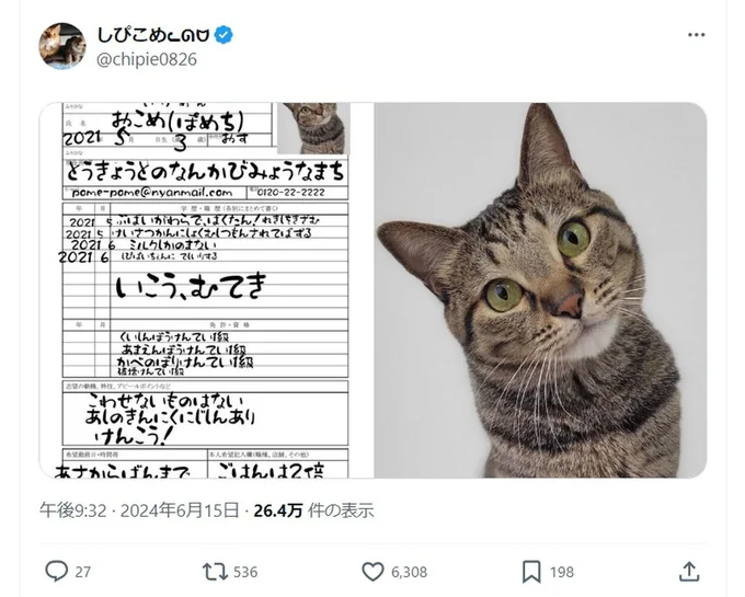 「かべのぼりけんてい1級」に「破壊けんてい1級」とは！恐れ入りました！▶次は必殺壁張り付き！（⇒次へ）
