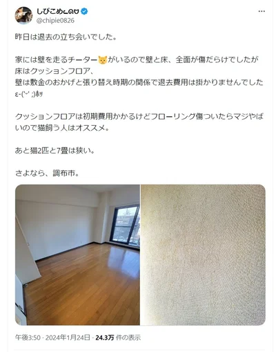 床はクッションフロア、壁はちょうど張り替え時期だったので敷金で済んだそうです。▶引っ越し先でもおこめくんは走り回る！？（⇒次へ）