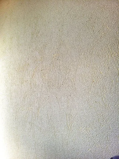 おこめくんの爪で壁はボロボロだったそうです。▶退去にいくらかかったの？（⇒次へ）