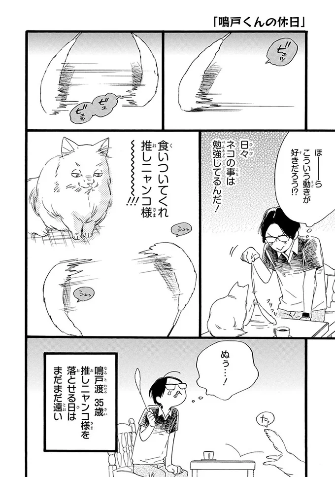 食いついてくれ推しニャンコ様