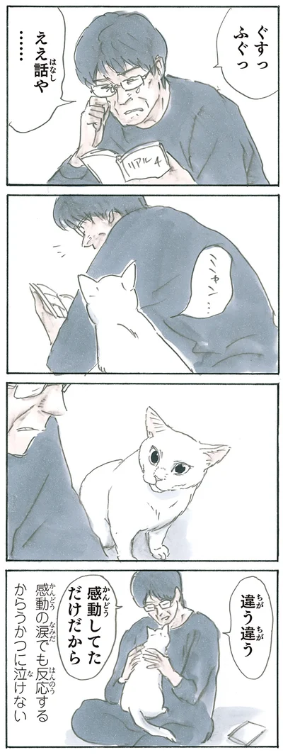 動物って優しい