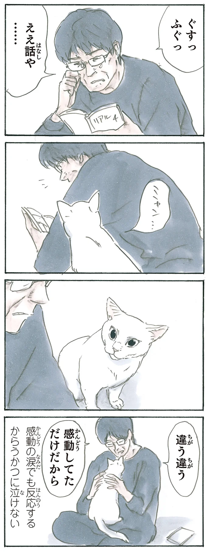 動物って優しい