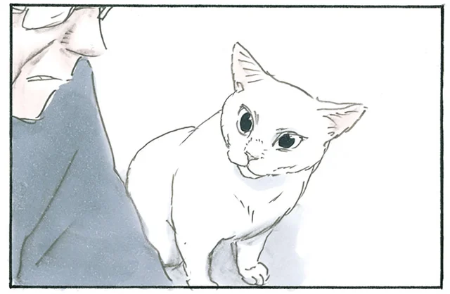 動物って優しい。感動の涙を流しているだけなのに猫が反応してくれます／拾い猫のモチャ5（2）