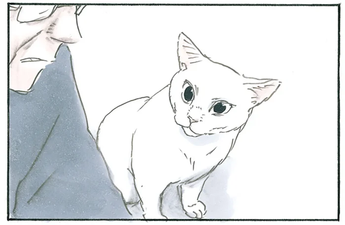 動物って優しい。感動の涙を流しているだけなのに猫が反応してくれます／拾い猫のモチャ5（2）