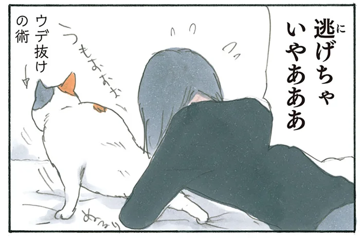 「逃げちゃいや！」思わずゾッとする、長らく猫に触れていない娘の暴走／拾い猫のモチャ5（5）