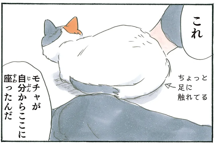 少しだけ足に触れてくれる猫。離れるのがもったいなくて動けません／拾い猫のモチャ5（6）