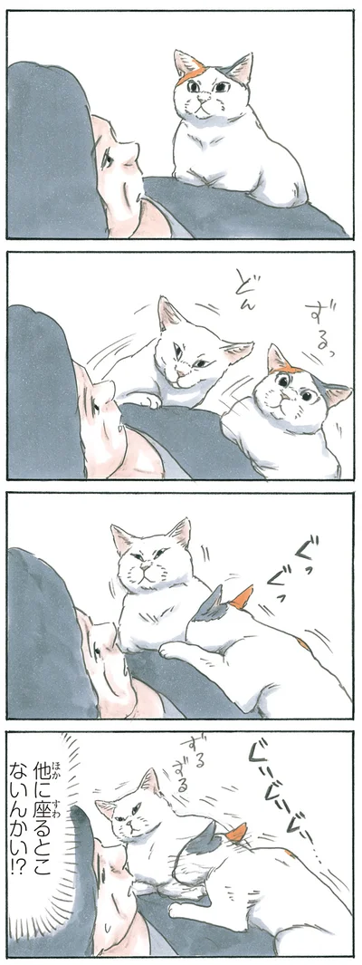 ポジション争い