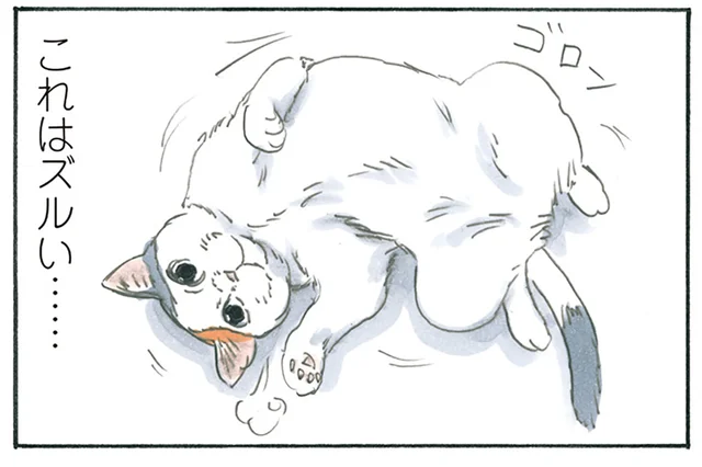 どっちにいけばいいの？ お父さんとお母さんに同時に呼ばれ困った猫の結論／拾い猫のモチャ5（7）