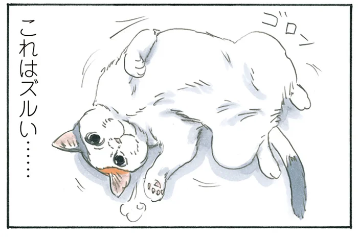 どっちにいけばいいの？ お父さんとお母さんに同時に呼ばれ困った猫の結論／拾い猫のモチャ5（7）