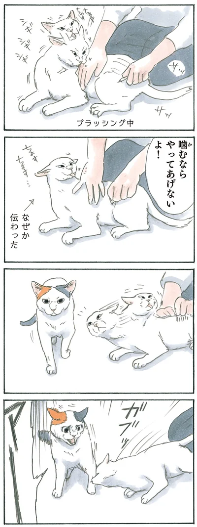 噛むしかなかった