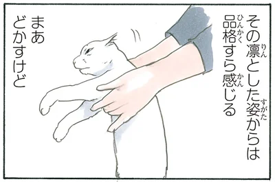 品格を感じつつ