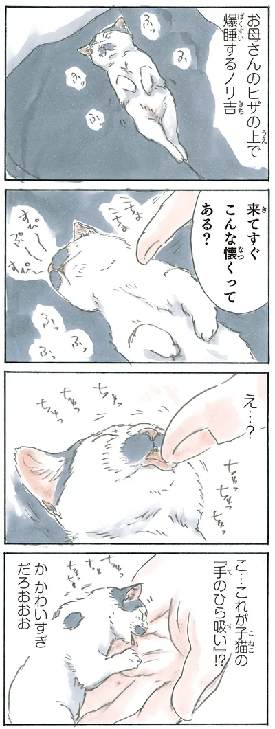 お母さんの手