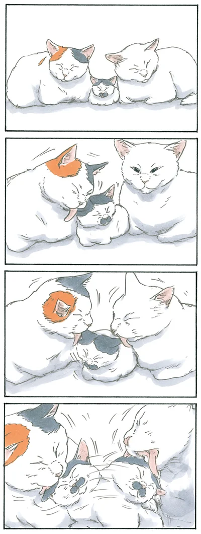 仲間入り
