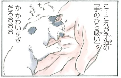 これが、手のひら吸い！？