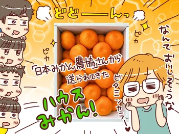 夏こそみかん！ジューシーであま～いみかんは栄養も豊富だった！
