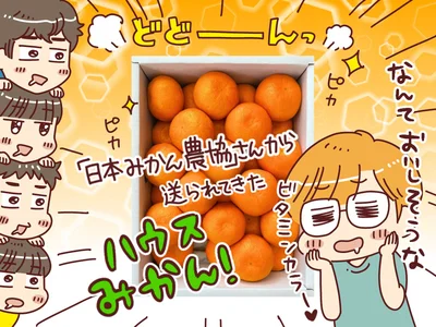 夏こそみかん！ジューシーであま～いみかんは栄養も豊富だった！