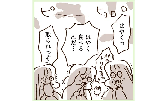 パンを死守せよ！川沿いでのほのぼのピクニックで災難が