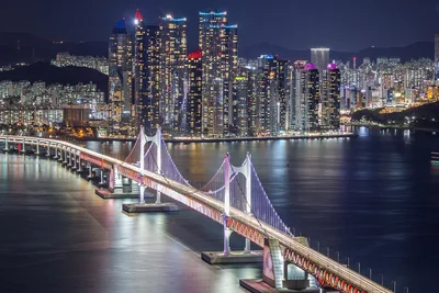 釜山の夜景。SNSでも人気が高く、フォトスポットもたくさんある。