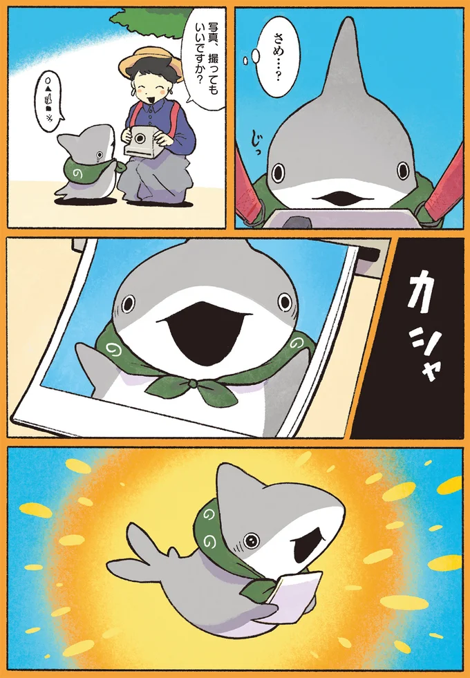 子ザメを撮ってみる