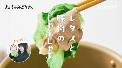 サラダ以外にもいろいろ使える！栄養も食べ応えも◎「レタスと豚肉のしゃぶしゃぶ」