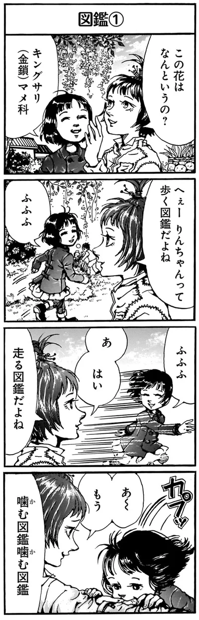 この花はなんというの？