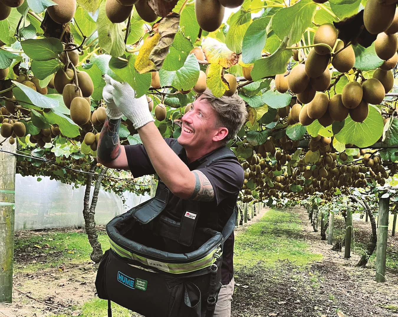 ゼスプリのキウイフルーツが絶対おいしいワケ」を生産地