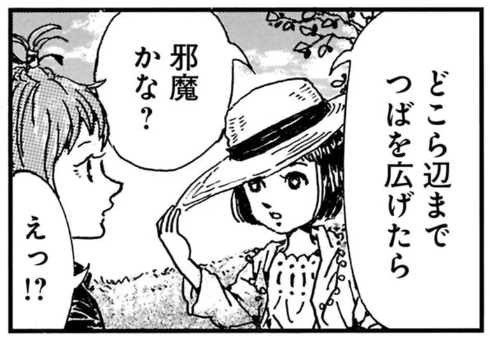 どこら辺までつばを広げたら邪魔？ 麦わら帽子のつばの広さに抱いた素朴な疑問／紙一重りんちゃん2（10）