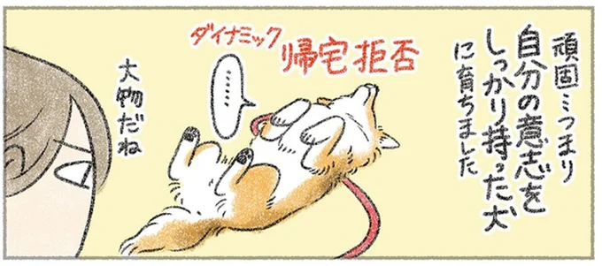 ダイナミック帰宅拒否