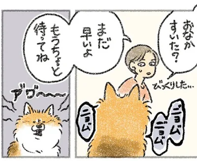 おなかすいたの？