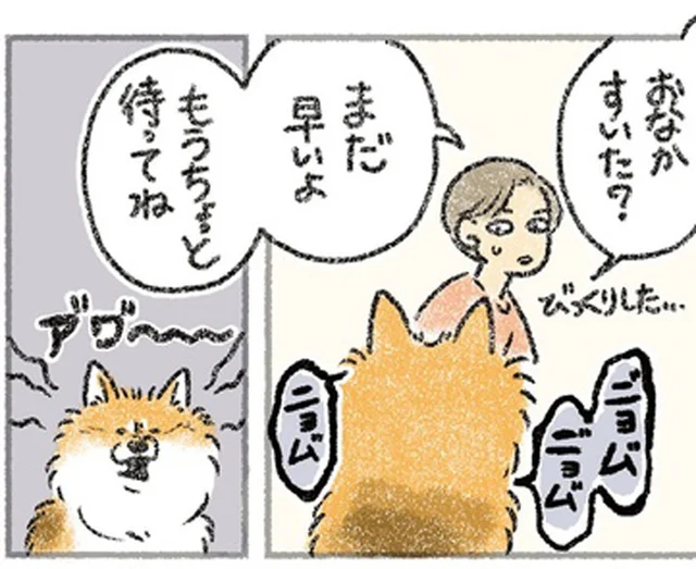 どこへ行くの？ ごはんをもらえなかった愛犬の次の行動がさすが！／犬を揉む（2）