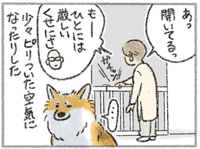 ペットゲートを開けっ放しにしているのは誰？まさかの真犯人が判明／犬を揉む（3）