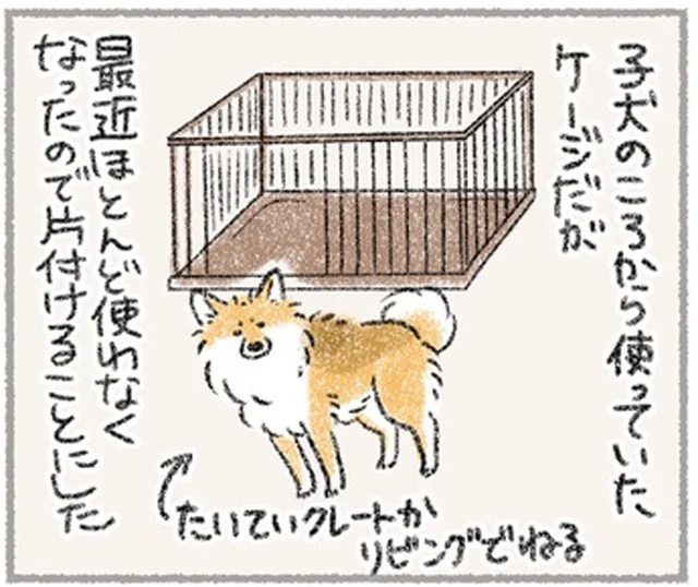 使わなくなった子犬時代からのケージを撤去すると愛犬がしょんぼり／犬を揉む（4）