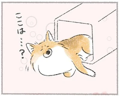 ここは…？