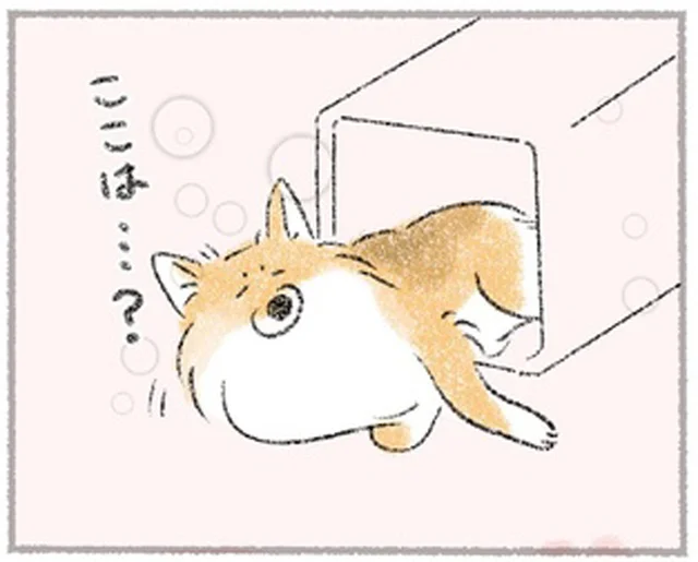 ペットホテルに預けていた愛犬と感動の再会！のはずが、さみしい現実／犬を揉む（5）