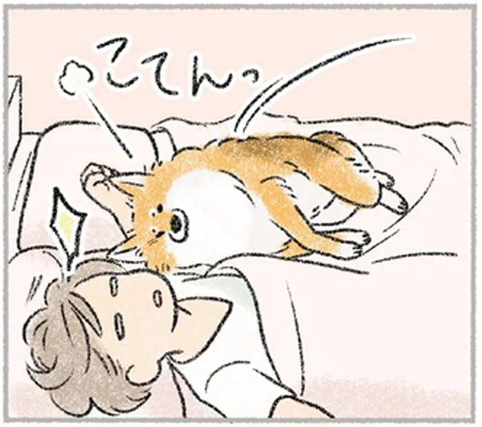 あざとかわいすぎる！寝ているところにあまえ声を出して寄ってくる愛犬／犬を揉む（6）