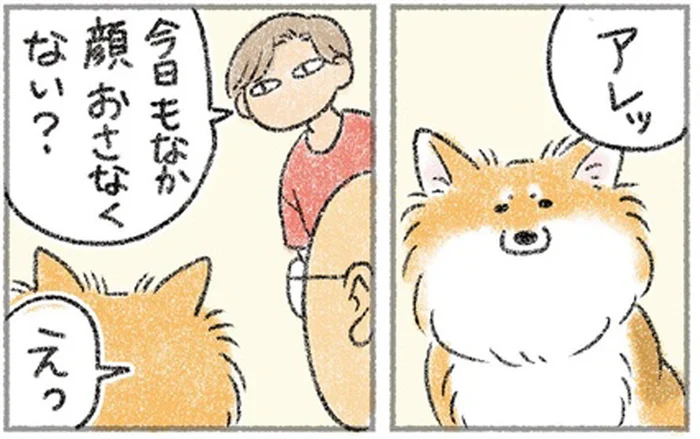さんぽから帰ってきた愛犬の顔がいつもより幼く見えるのはなぜ?!／犬を揉む（9）