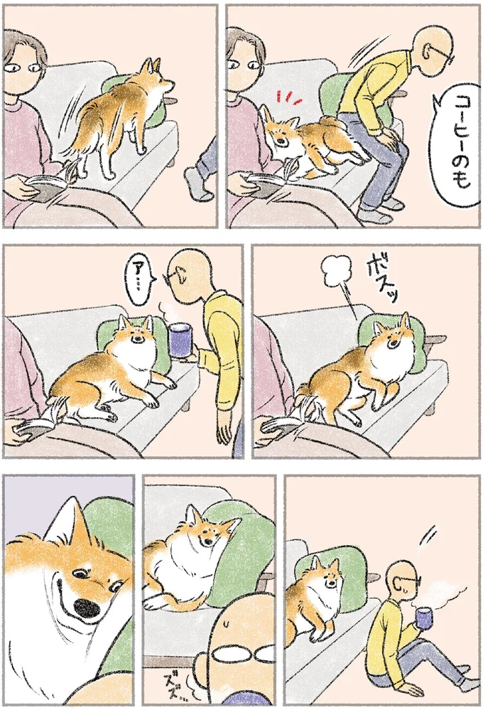 コーヒーのも